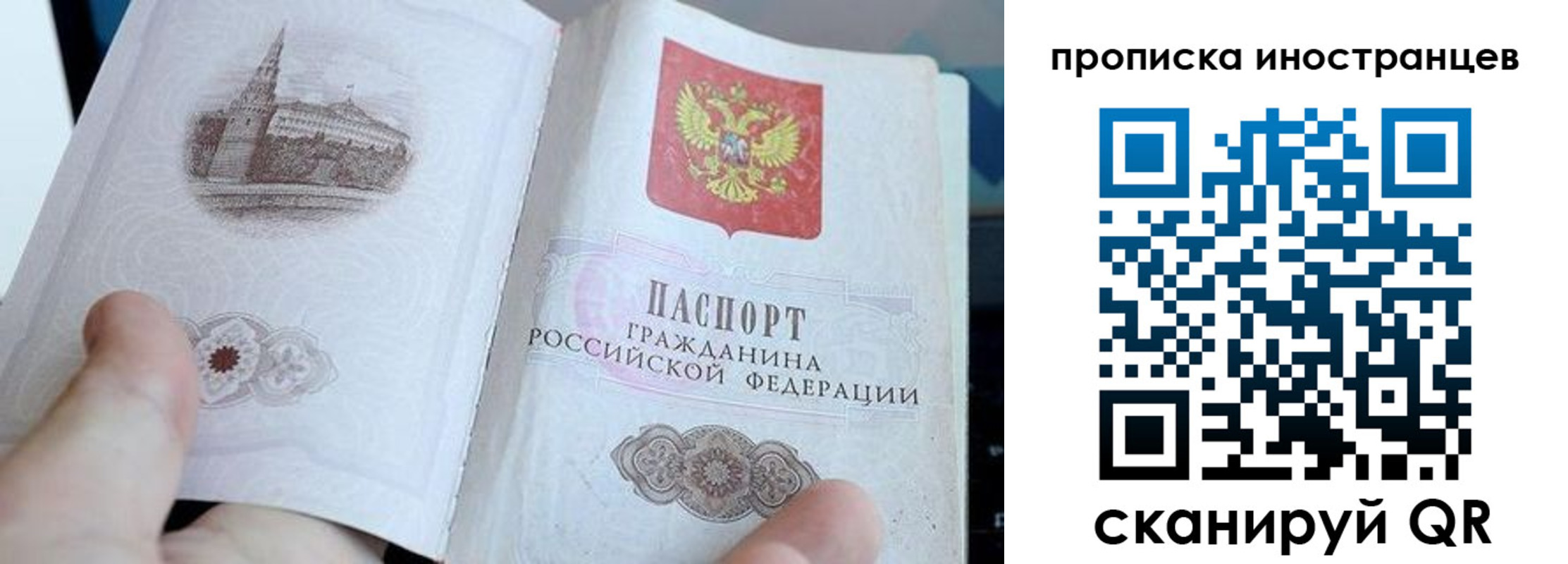 прописка поиск в Гатчине
